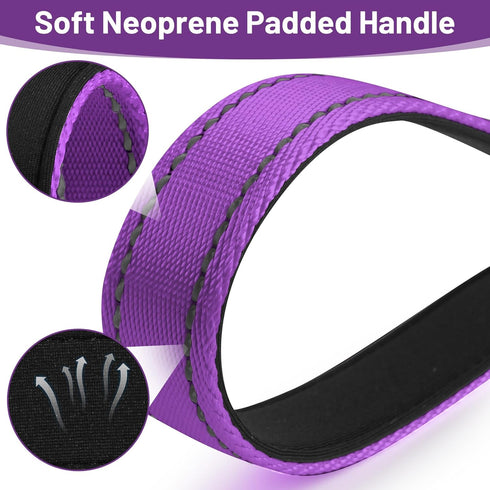 Short Traffic Dog Leash 2 ft, Reflective Nylon Lead with Padded Handle for Large and Medium Dogs, Purple