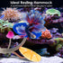 2Pcs Betta Fish Mushroom Hammock with 30 Luminous Stones, Soft Silicone Aquarium Rest Bed