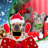 40 Pcs Christmas Dog Bandanas Bulk Adjustable Xmas Dog Scarves Bibs Triangle Reversible Puppy Bandana Pet Neckerchief