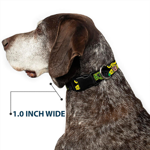 Dog Collar Plastic Clip Loki In Action, Black Gray Yellow Green, 11 to 17 Inches, 1.0 Inch Wide