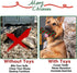 MISS FANTASY Christmas Dog Toys - Stuffless 4 Pack Rope Dog Toys for Aggressive Chewers, Plush Puppy Toys,Squeaky Dog Teething Chew Toys for Large Medium Small Dog