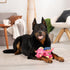 goDog Coral Large Bubble Plush Dragon Chew Toy with Squeaker