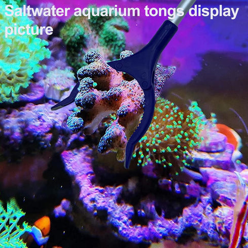 coral reef Grabber,coral Feeder,Aquarium veggie Feeder,Aquarium Food Clip,Aquarium net(Reef grabber and coral feeder kits (ANTI-RUST)