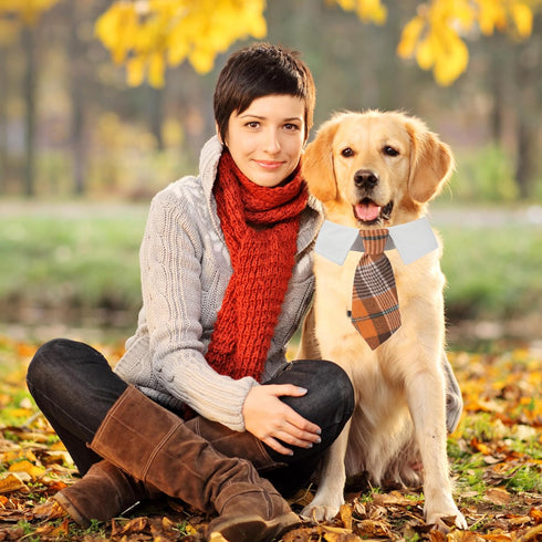 ADOGGYGO Fall Dog Necktie Collar with Orange Plaid Tie for Large Dogs, Pet Tuxedo for Halloween and Thanksgiving