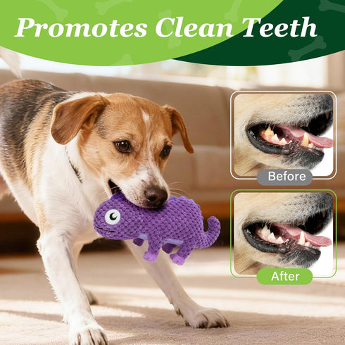 5 Pack, Prime Pets Dog Toys, Plush Crinkle Squeaky Dog Toys, Assortment Value Bundle Animal Pet Toy for Small Medium