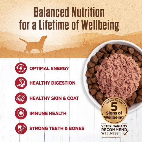 95% 13.2-Ounce (Pack 12) Wellness Beef Natural Wet Grain Free Canned Dog Food, Can