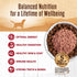 95% 13.2-Ounce (Pack 12) Wellness Beef Natural Wet Grain Free Canned Dog Food, Can