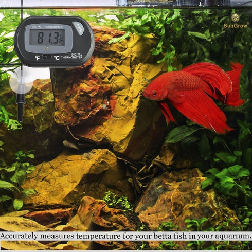 SunGrow Digital Betta Thermometer for Tropical Aquarium Fish, Black Color, 1 pc with Suction Cups and Battery
