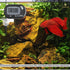 SunGrow Digital Betta Thermometer for Tropical Aquarium Fish, Black Color, 1 pc with Suction Cups and Battery