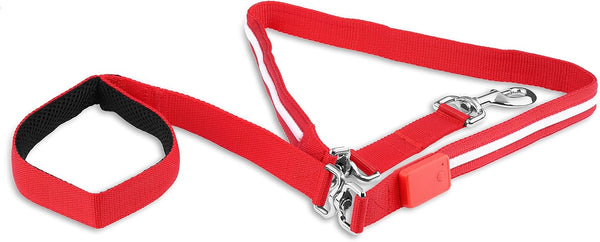 Blazin' Safety LED Dog Leash, USB Rechargeable Light, 6 Ft, Waterproof, Red