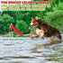 BINGPET Dog Float Bumper Toy - 10.8 Inch Large Training Dummy for Summer Pool Tug Game