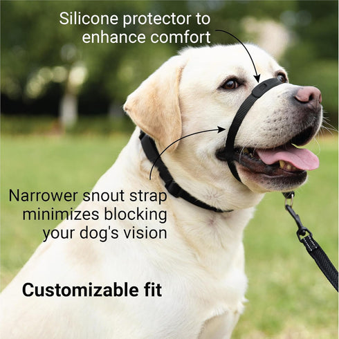 SVD.PET No-Pull Dog Headcollar, Chew-proof Protector for Comfort, Easy to Wear and Adjust, Medium Size for Small and