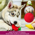 Pets&Goods Plush Squeaky Chew Toys for Small Dogs, 6-Pack Fruit & Vegetable Toy Set