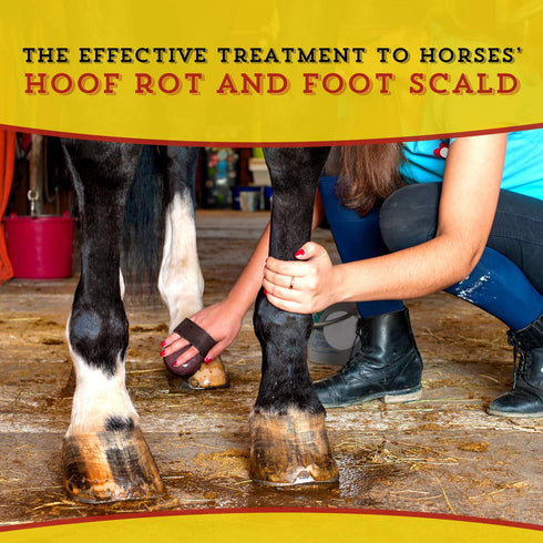 16oz, 1-pack Dr. Naylor Hoof 'N Heal, Hoof Rot Foot Rot Wound Care, Sheep Goat Cow Horse