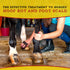 16oz, 1-pack Dr. Naylor Hoof 'N Heal, Hoof Rot Foot Rot Wound Care, Sheep Goat Cow Horse