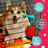 Fossa Interactive Dog Toys, Puzzle Treat Dispenser with Rope for Reducing Boredom and Anxiety