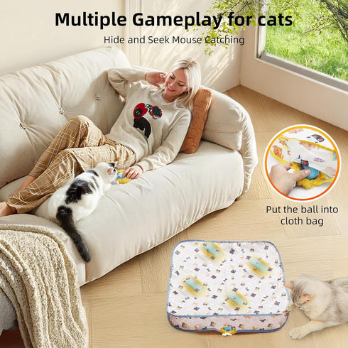 EcoPinnacle Interactive Cat Toy Ball, Automatic Moving Cat Ball in Pouch,Interactive Cat Toys for Indoor Cats,Motion