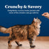 Blue Buffalo Wilderness Crunchy Cat Treats, 12-oz Tub, Tasty Salmon Flavor, Made with Natural Ingredients