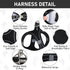 GAMUDA Small Dog Harness Collar and Leash Set - Step in No Choke No Pull Soft Mesh Vest (Black, S)
