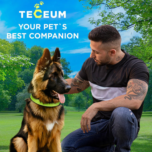 TECEUM Reflective Pet Collar – Acid Green – XS – Extra Soft Padding – Basic Nylon Dog Collar – Quick Release Buckle –