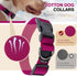 Classic Large Dog Collar for Mini Dogs, Extra Small Puppy Collar with Buckle, D-Ring, Removable Tag (15.7"-23.6" L, 1"