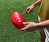 NW Athletics 48 Inches Football Snapper Stick, Telescoping Training Tool, Easily Collapsable, Extends Over Long, Easily