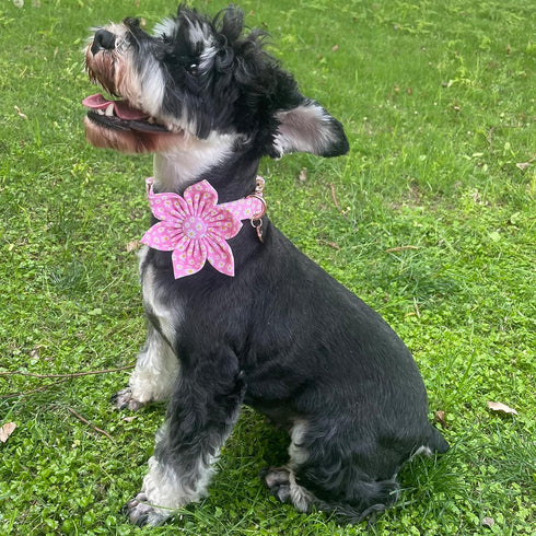 Summer Dog Collar with Flower, Cotton Cute Pink Flower Collar for XL Boy Girl Dog, Comfortable with Metal Buckle