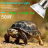 OMAYKEY 3 Pack 50W UVA + UVB Full Spectrum Sun Lamp - Heat Lamp for Lizard Reptiles & Amphibians
