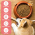 2 Pcs 5 Inch Ceramic Dog Bowl, Cute Cartoon Pattern, Durable Dog Dishes for Small Dogs, Dishwasher Safe