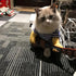 NACOCO Pet Guitar Costume Dog Costumes Cat Halloween Christmas Cosplay Party Outfit Clothes (L)