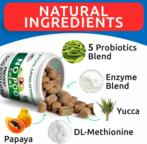 NO Poo Treats - Coprophagia Treatment for Dogs, Stool Eating Deterrent with Probiotics & Enzymes (240 Ct - Chicken)
