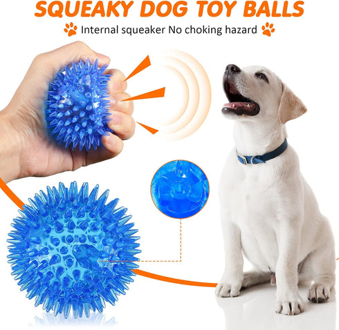 9 Pcs Dog Squeaky Toys Set - Bone and Donut Shape Teething Toys for Small and Medium Dogs, TPR Rubber Chew Toy