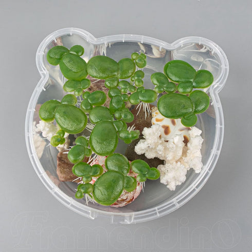 Framendino 54 Pack Floating Aquarium Plants, Artificial Plastic Fake Duckweed Simulation Floating Plants (3 Size)