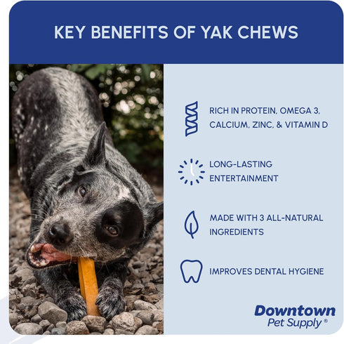 Downtown Pet Supply Yak Cheese Himalayan Dog Chews - Regular Nutrient-Rich Chews for Small to Medium Dogs - 0.5 LB