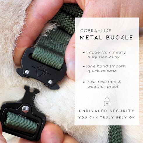 Made to ROAM Premium Dog Collar, Adjustable Heavy Duty Nylon Collar with Quick-Release Metal Buckle