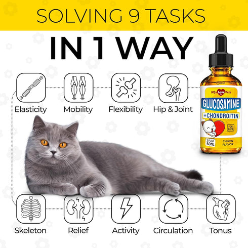 Glucosamine for Cats ? Cat Joint Supplement ? Cat Glucosamine ? Joint Supplement for Cats ? Glucosamine for Cats Liquid ? Glucosamine Chondroitin for Cats ? Chicken Flavor ? 2 Oz