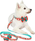 Blueberry Pet Snowman Making Christmas Designer Dog Leash with Bowtie, 5 ft x 3/4", Medium