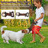 Dog Plush Squeak Toys with Crinkle Paper, Interactive Tug of War Toys for Small, Medium, Large Dogs