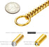 18K Gold 10MM Cuban Link Chain Dog Collar, Stainless Steel Metal Links Walking Training Collar for Small Medium Large