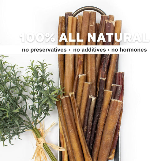 Downtown Pet Supply 6-inch Bully Sticks for Dogs, Pack of 18 - Nutrient-Rich, Odor Free Chews