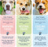 (12.5 oz, 6-Pack) Side by Side Beef & Salmon Stew - Neutral Wet Dog Food & Dog Food Topper - Made with Nutrients