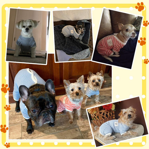 TONY HOBY Stripes 4 Legged Pet Dog Pajamas, Soft Cotton Jumpsuit for Dogs (XL, Blue+White-Boys)