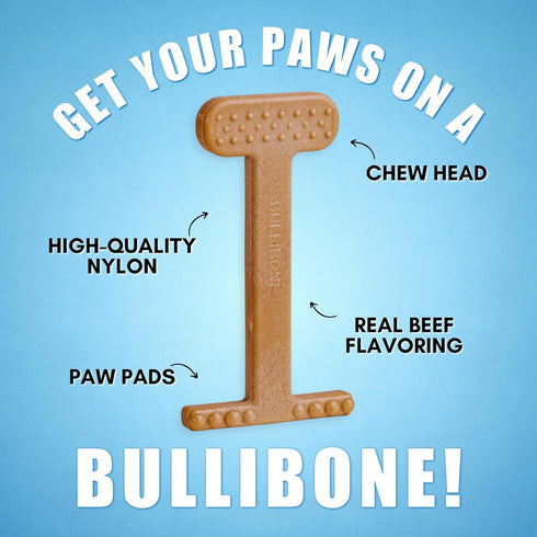 Bullibone Nylon Dog Chew Toy - Large Beef Flavor, 3 Pack, Improves Dental Hygiene, Easy Grip