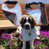 Unique Personalized Saint Bernard Bib with own Name and Brandy Barrel Embroidered Full Colour - Choose bib & Embroidery