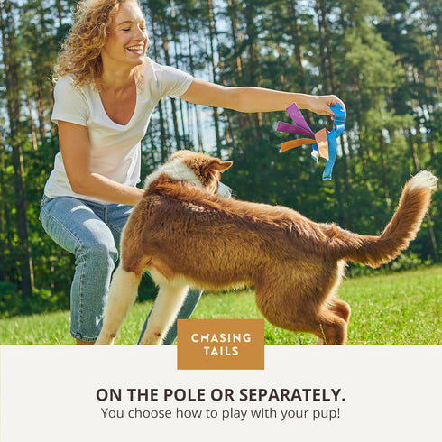 Flirt Pole for Small or Medium Dogs - 26 Inch with 70 Inch Rope and Two Toys, Spring Pole for All Breeds