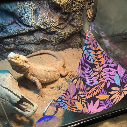 KUDES Bearded Dragon Hammock, Reptile Lizard Lounger Ladder Accessories, Terrarium Habitat Decor for Bearded Dragons,