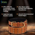 Genuine Leather Spike Dog Collar, Heavy Duty, Full Grain, 2" Wide, Brown with Gold Spikes (L, 18.5"-22.5")