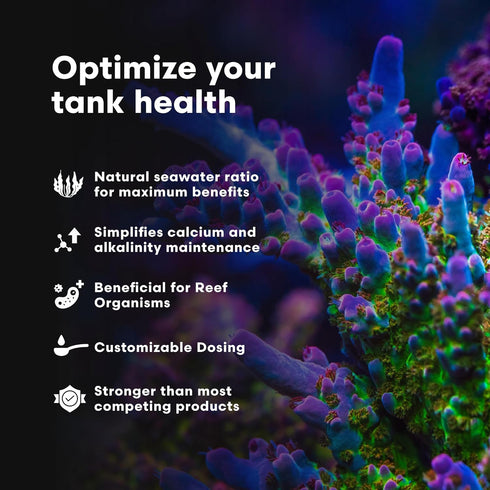 33.8 oz Brightwell Aquatics - Reef Code A - Balanced Calcium & Alkalinity System Water Conditioner - for All Saltwater
