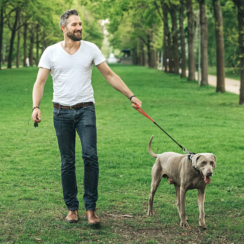 Heavy Duty Dog Leash, Chew Proof Metal Leash for Large Dogs (Up to 250lbs), 5ft Wire Rope with Soft Silicone Grip