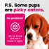 24-in-1 Dog Multivitamin Chews Dog Vitamins and Supplements with Glucosamine, Chondroitin, Probiotics, Salmon Oil